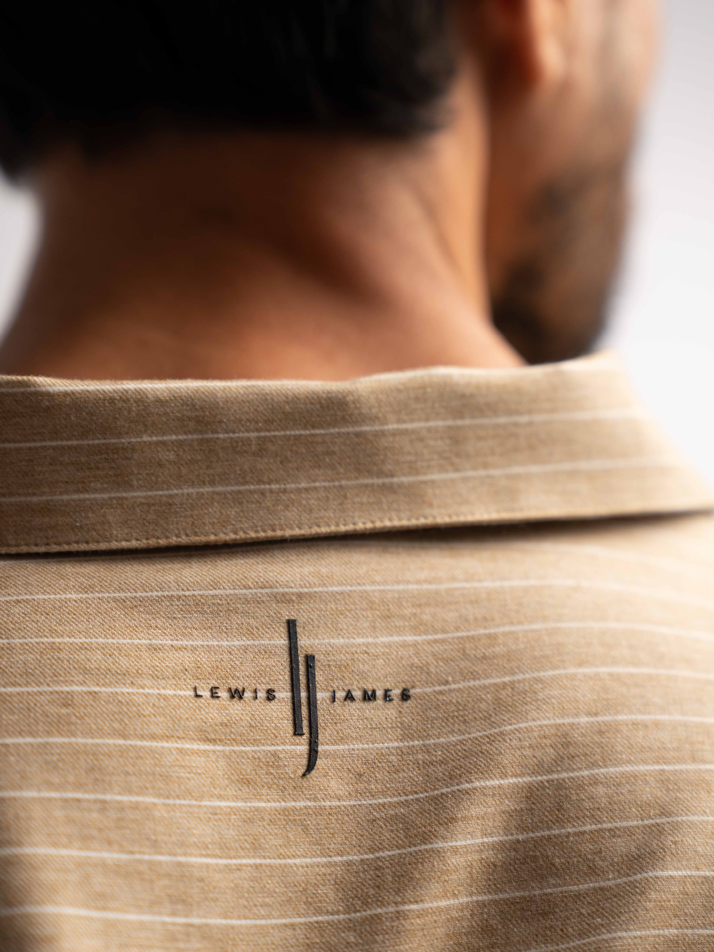 Villa Pinstripe Embroidered Shirt in Brown