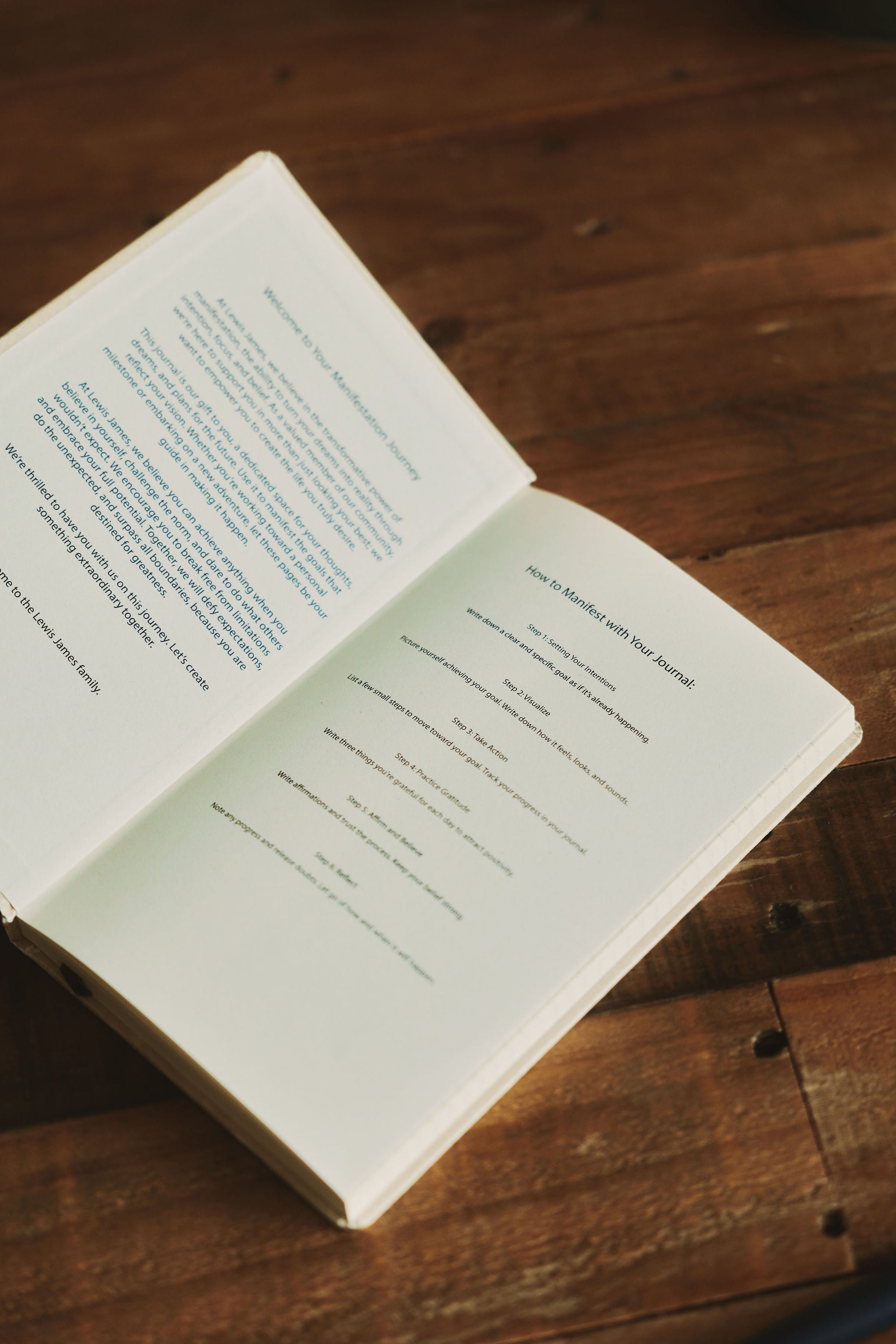 Lewis James Manifestation Journal