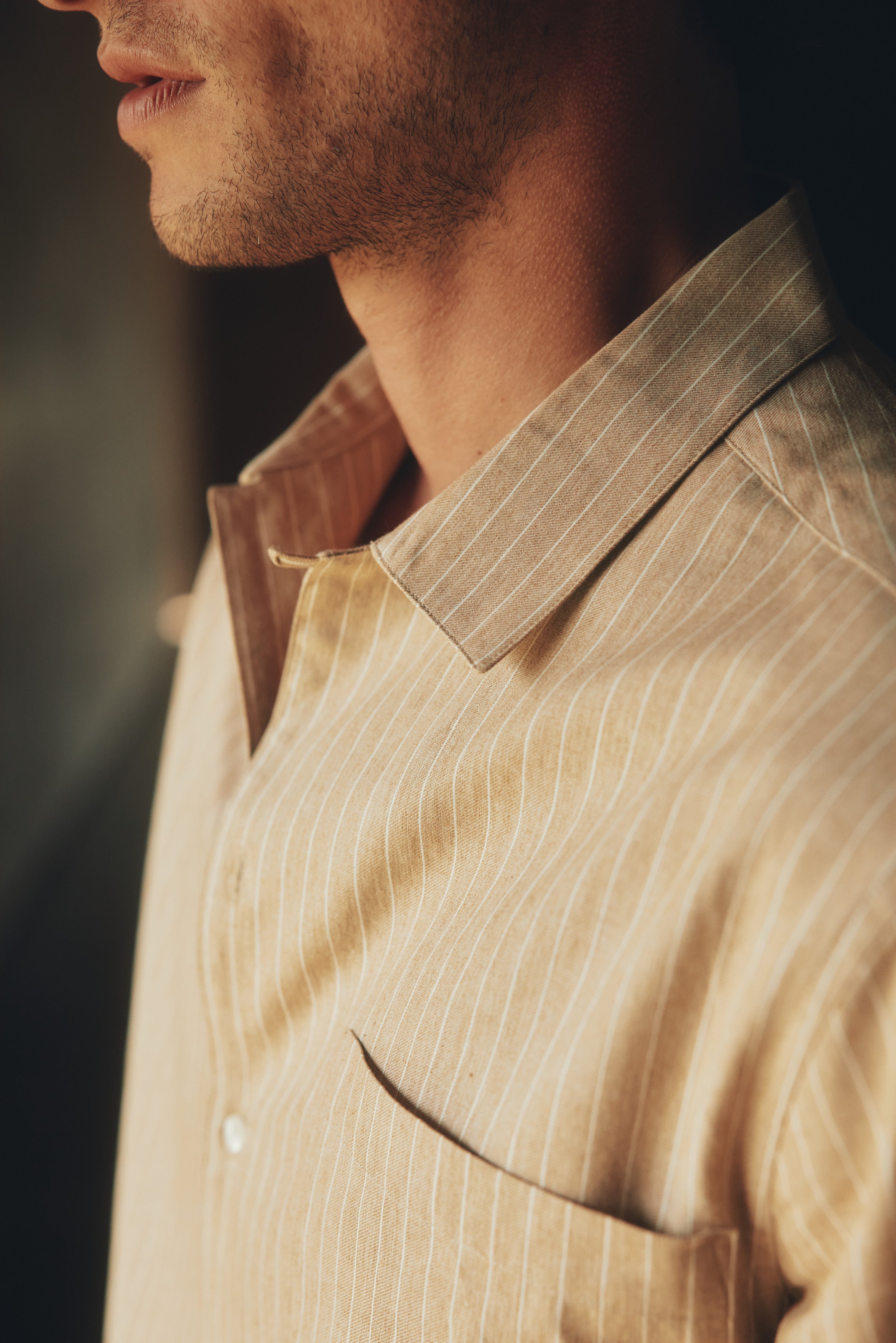 Villa Pinstripe Embroidered Shirt