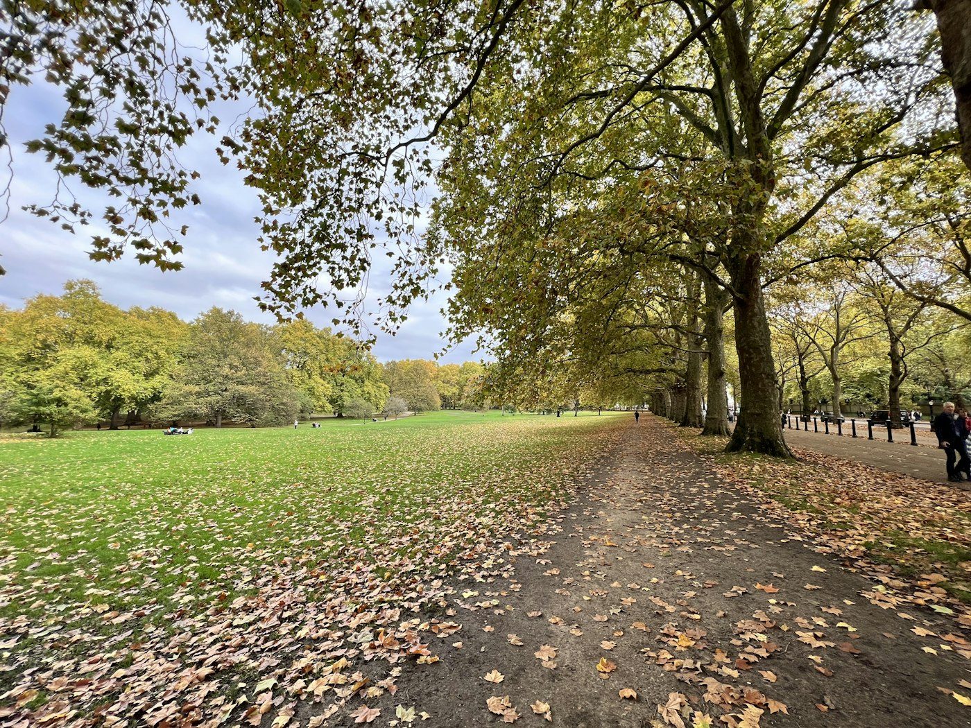 The walk through the parks